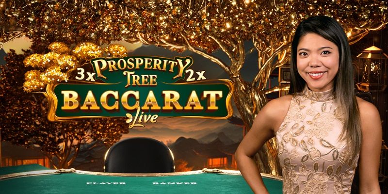 Tổng hợp cách nhận biết địa chỉ chơi Baccarat có bịp không