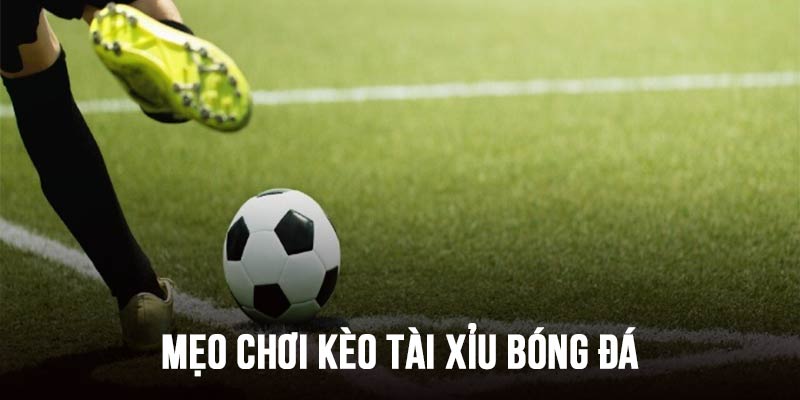 Mẹo chơi tài xỉu bóng đá ai cũng nên biết